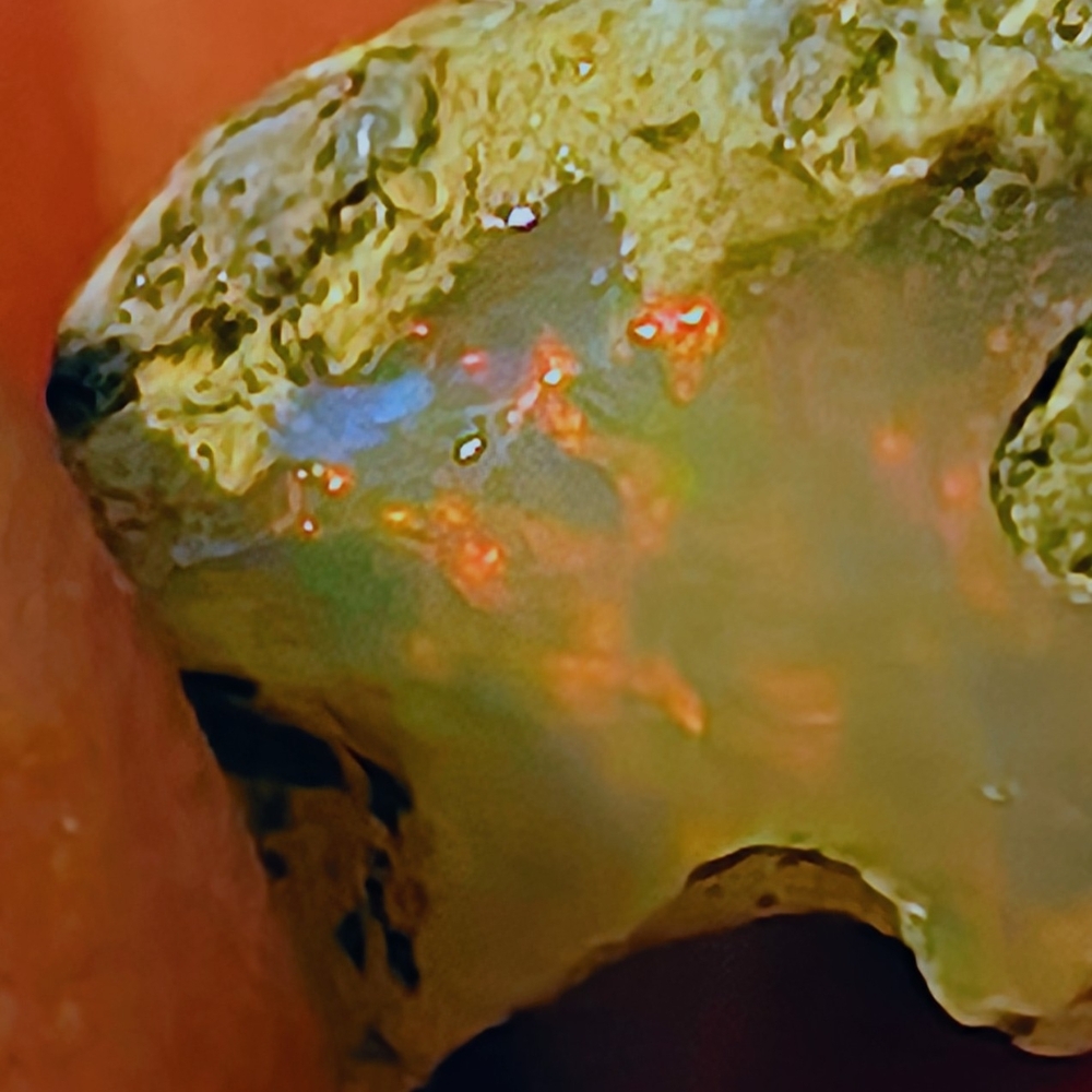 Colorful Reptile Habitat Rock